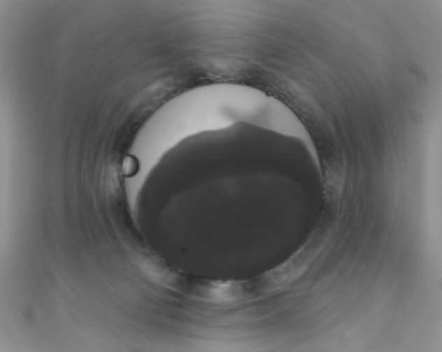 X0000111020130200907022207