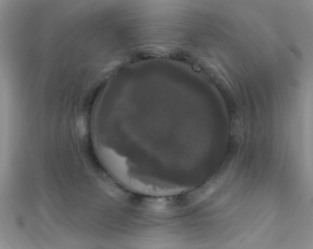 X0000111020131200907022207
