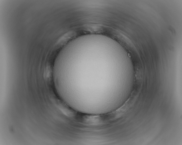 X0000111020132200907022207