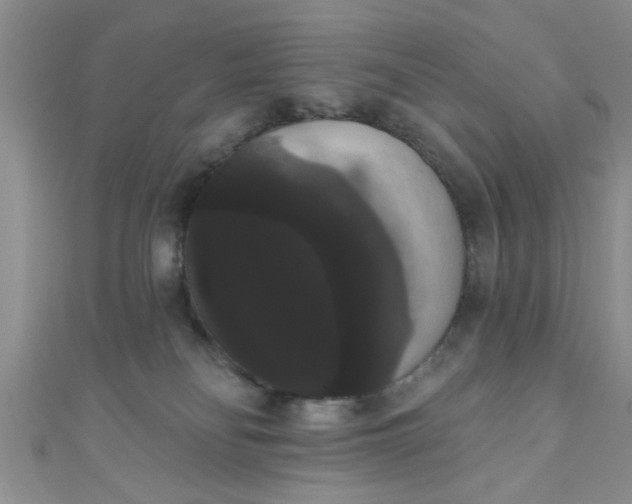 X0000111020134200907022206