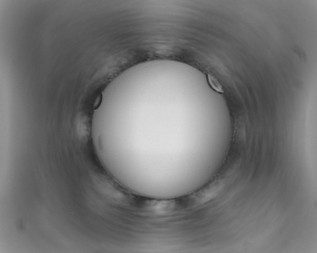 X0000111020135200907022206