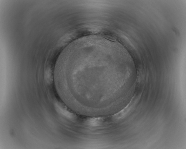X0000111020136200907022206
