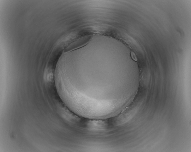 X0000111020137200907022206