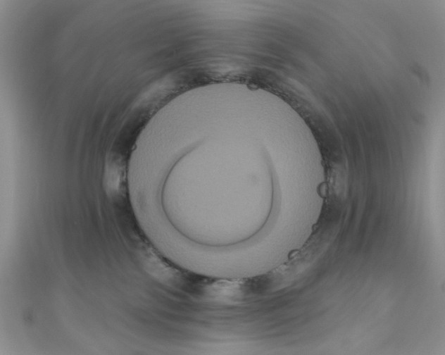 X0000111020138200907022206