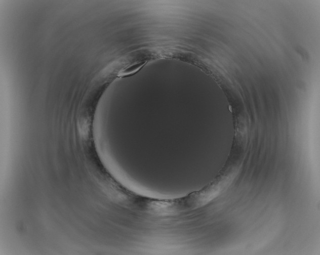 X0000111020139200907022206