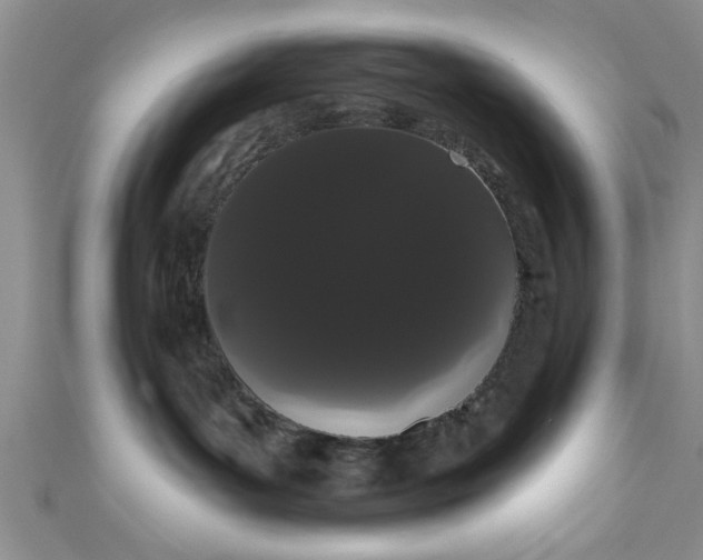 X0000111020143200907022206