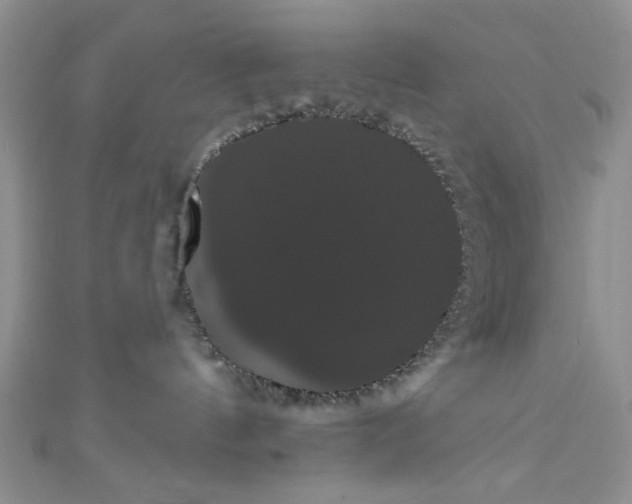 X0000111020144200907022206