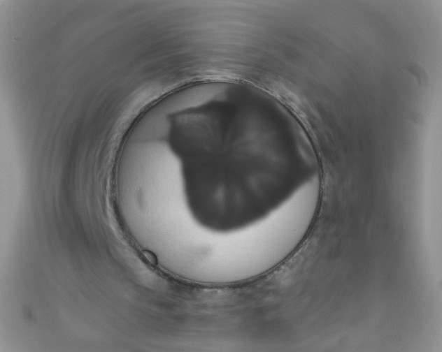 X0000111020145200907022206