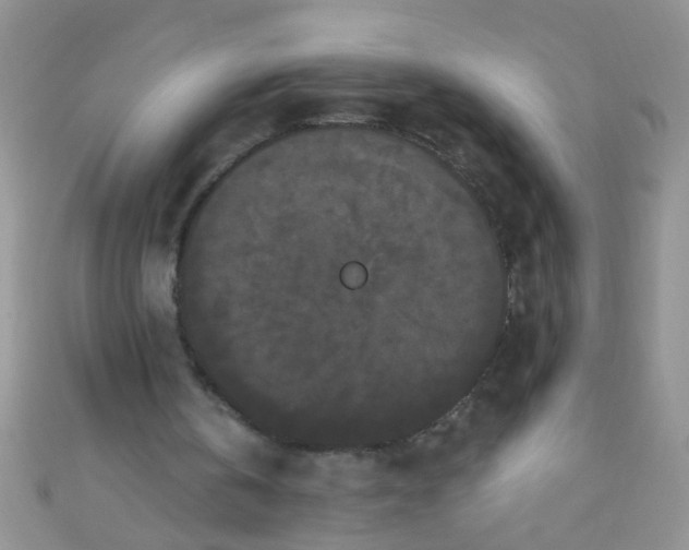 X0000111020146200907022206