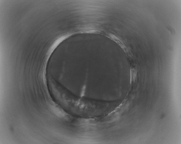 X0000111020147200907022206