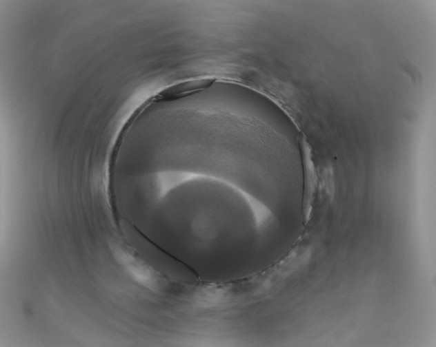 X0000111020148200907022206