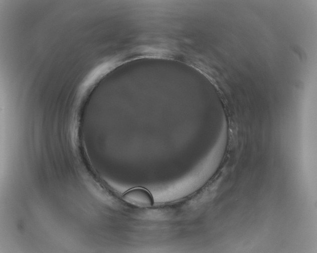 X0000111020149200907022206