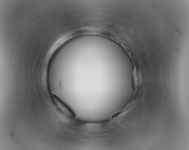 X0000111020150200907022206