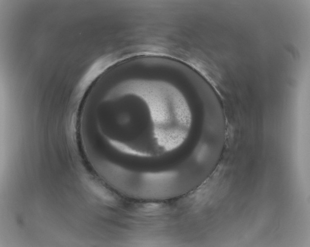 X0000111020151200907022206