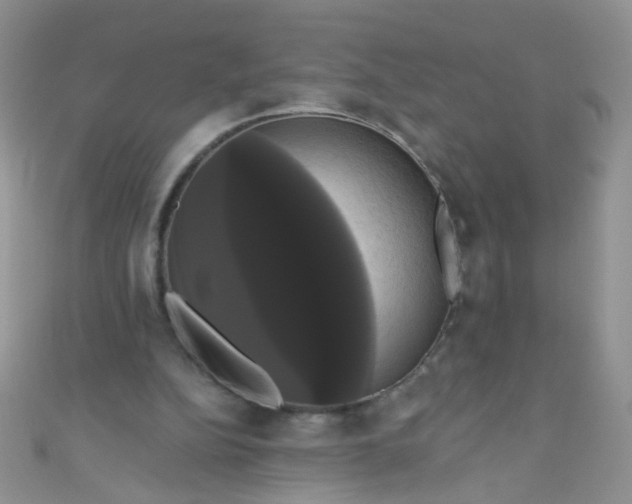 X0000111020152200907022206