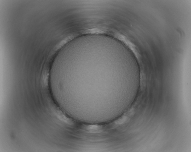 X0000111020153200907022206