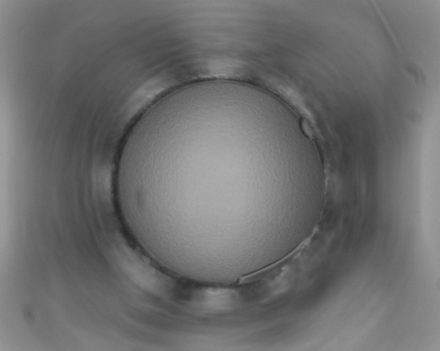 X0000111020154200907022206