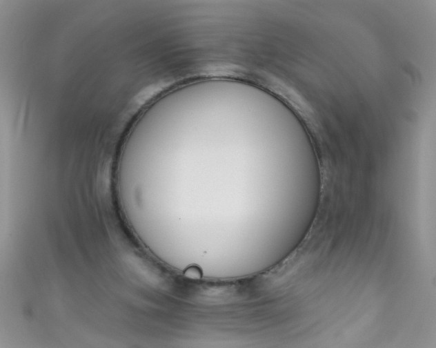 X0000111020155200907022206