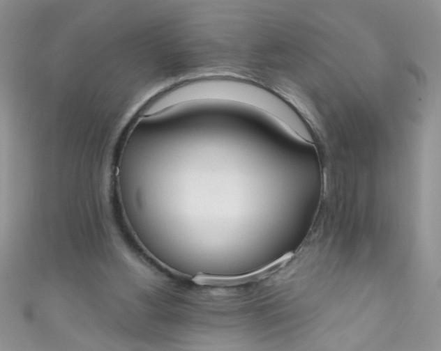 X0000111020156200907022206