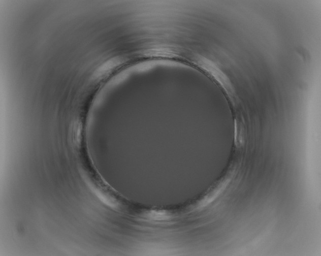 X0000111020157200907022206