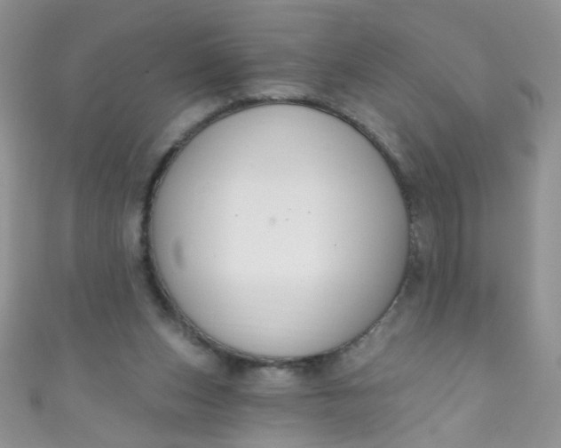 X0000111020159200907022206