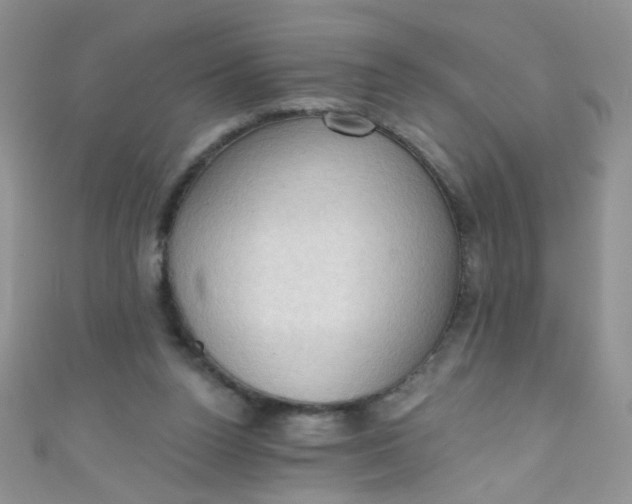 X0000111020160200907022206