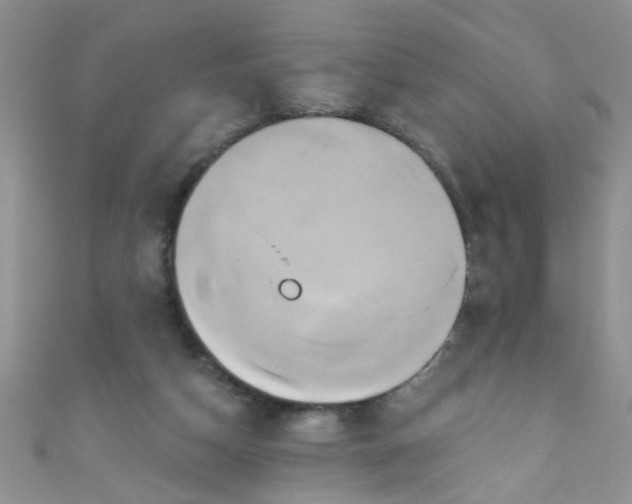 X0000111020162200907022206