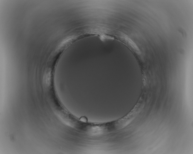 X0000111020163200907022206
