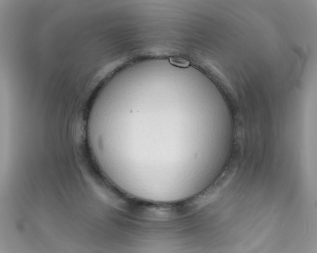 X0000111020164200907022206