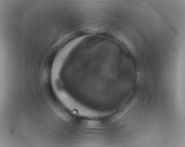 X0000111020165200907022206