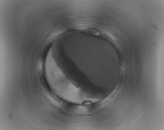 X0000111020166200907022206