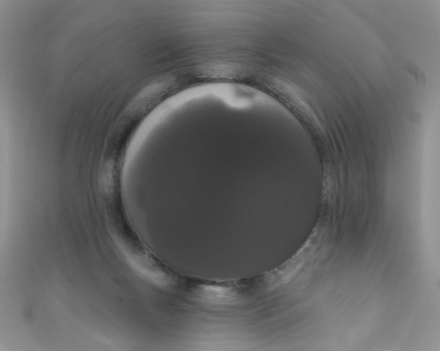 X0000111020167200907022206