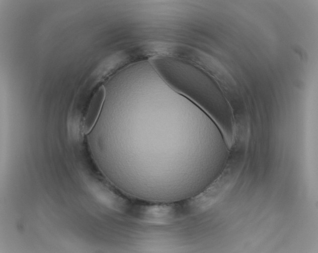 X0000111020168200907022206