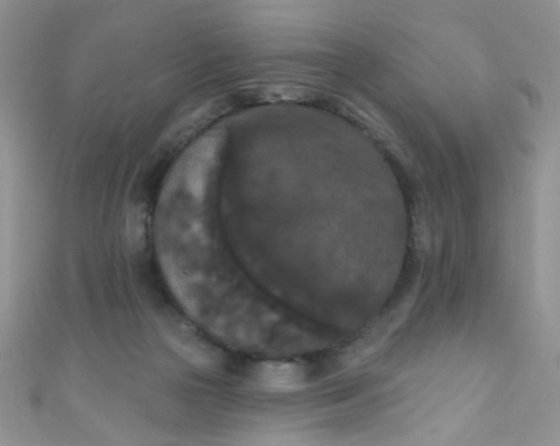 X0000111020169200907022206