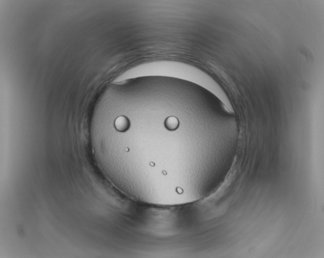 X0000111020170200907022206