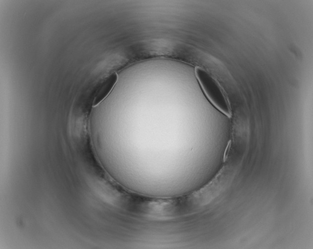 X0000111020172200907022206