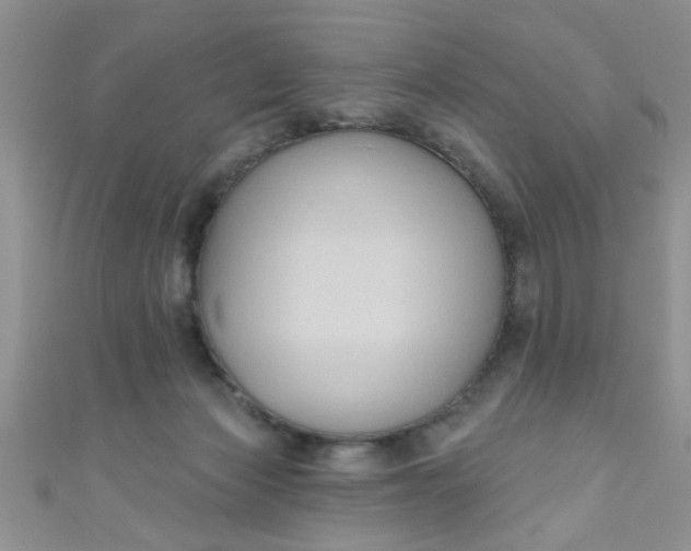 X0000111020173200907022206