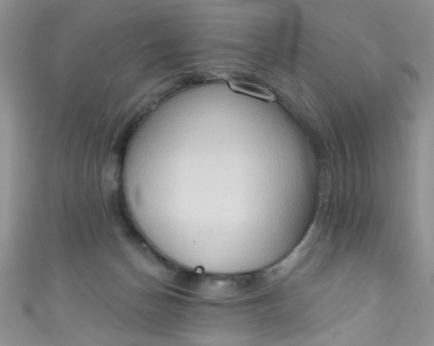 X0000111020174200907022206