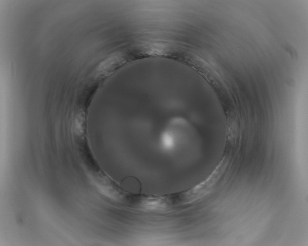 X0000111020175200907022206