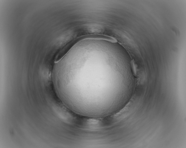X0000111020176200907022206