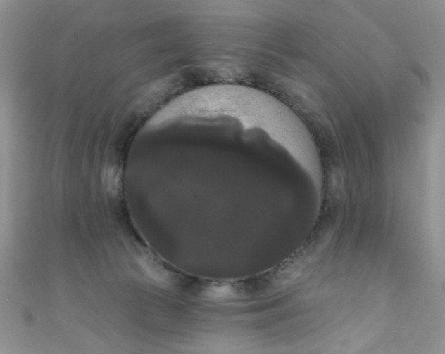 X0000111020177200907022206