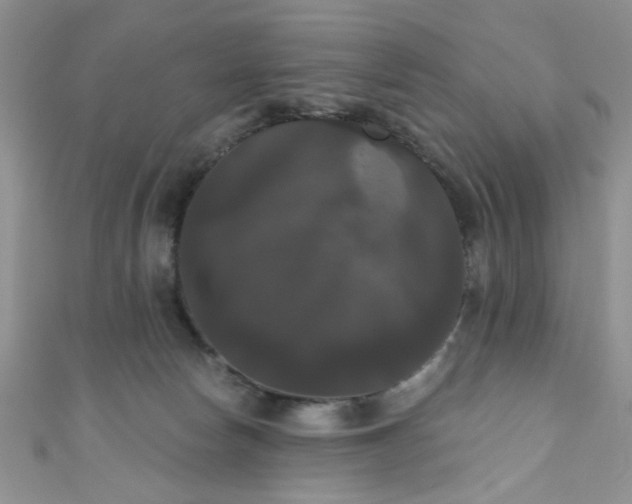 X0000111020178200907022206