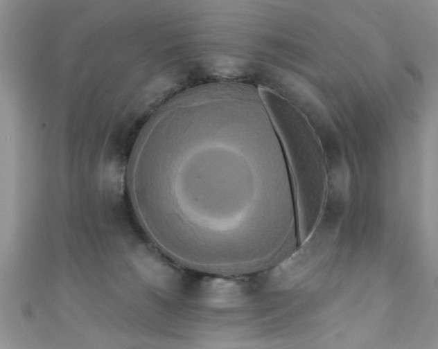X0000111020180200907022206