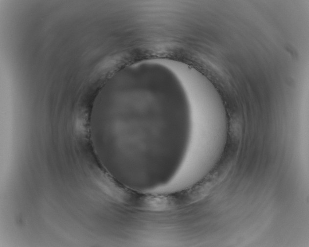X0000111020181200907022206