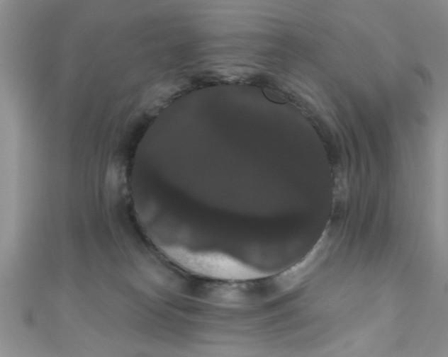 X0000111020182200907022206