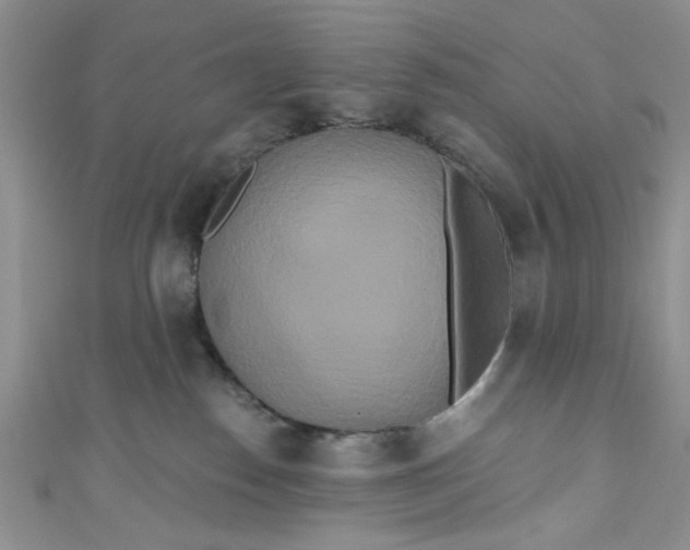 X0000111020186200907022206