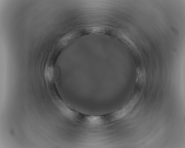 X0000111020189200907022206