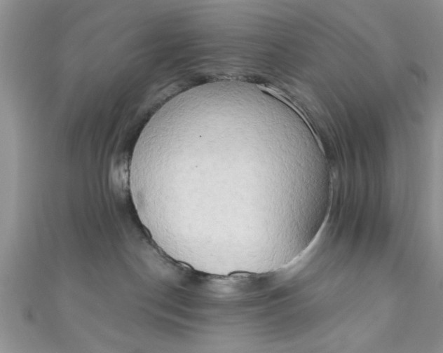 X0000111020190200907022206