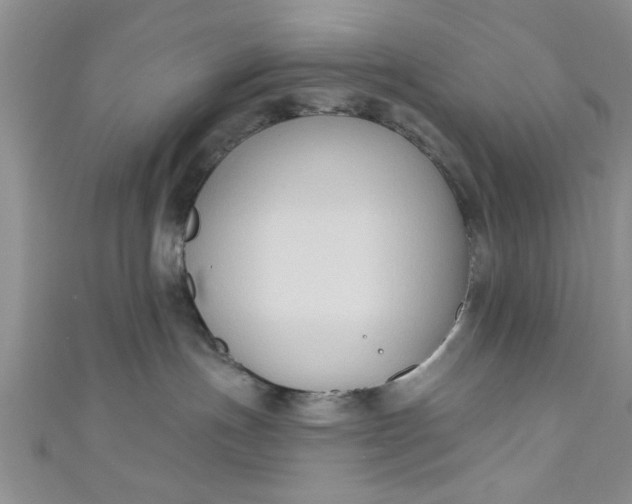 X0000111020191200907022206
