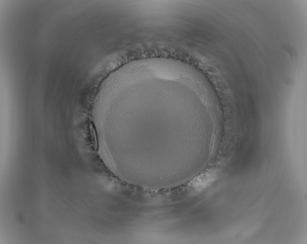 X0000111020192200907022206